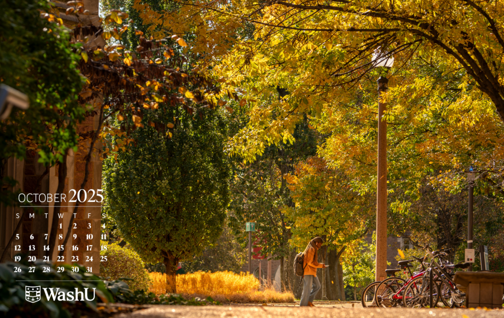 students walking across campus during fall