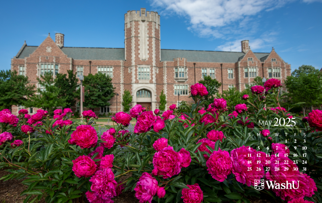 Flowers in bloom in front of Brookings